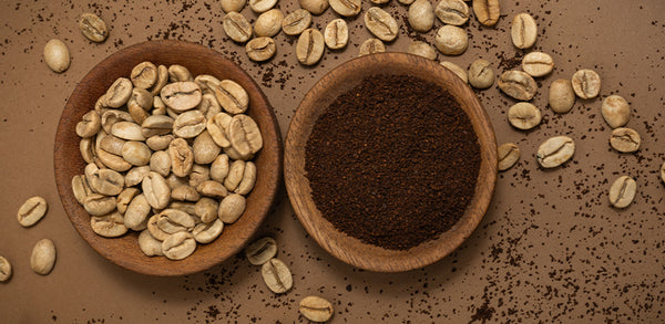 Descubra os benefícios do Café Verde (Coffea robusta)