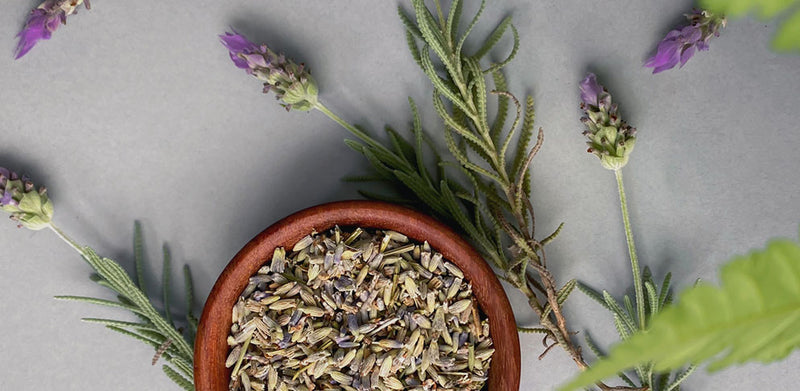 Saiba mais sobre a Alfazema (Lavanda)