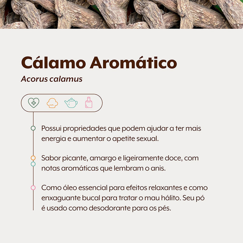 Cálamo Aromático Raízes 100g