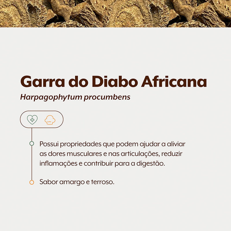 Garra do Diabo Africana Raízes 1Kg