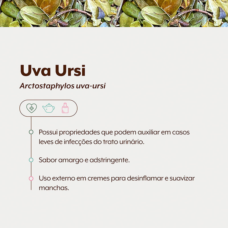 Uva Ursi Folhas 1Kg